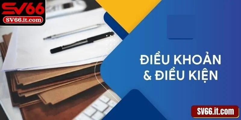 Tìm hiểu vai trò của chính sách điều khoản điều kiện